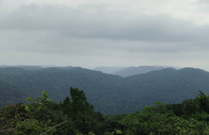 blog